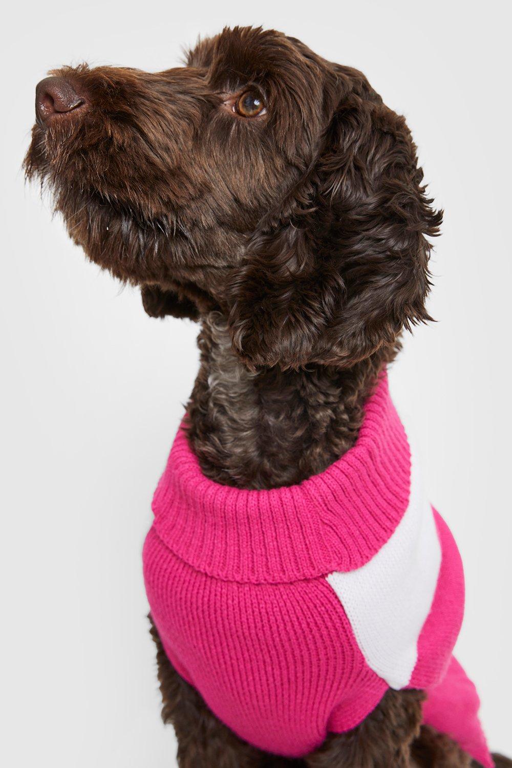 Dog jumper clearance boohoo